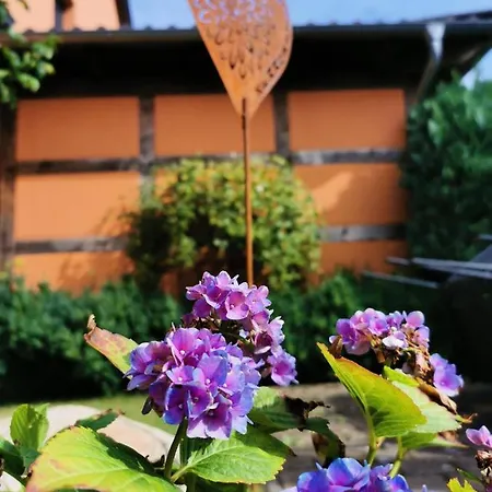 Apartamento Dorfidyll Wendisch Priborn